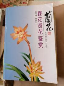 兰花蝶花奇花鉴赏