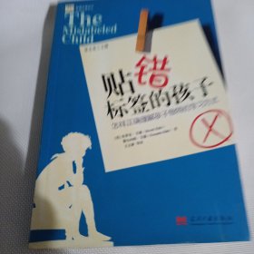 贴错标签的孩子--怎样正确理解孩子独特的学习方式C114---小16开9品，08年1版1印