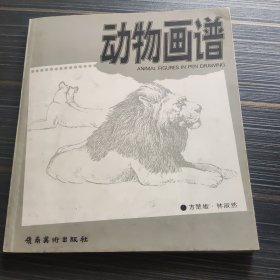 动物画谱