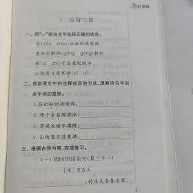 小学语文补充习题五年级下册补充习题