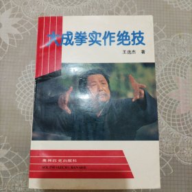 大成拳实作绝技