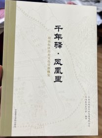 《千年驿•凤凰里》坡南街区历史文化资源概览