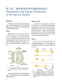 临床神经解剖学，第29版（翻译版）