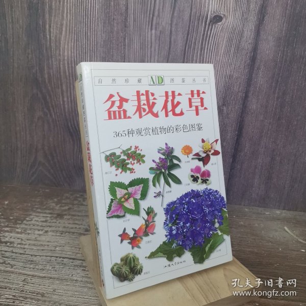 盆栽花草：365种观赏植物的彩色图鉴