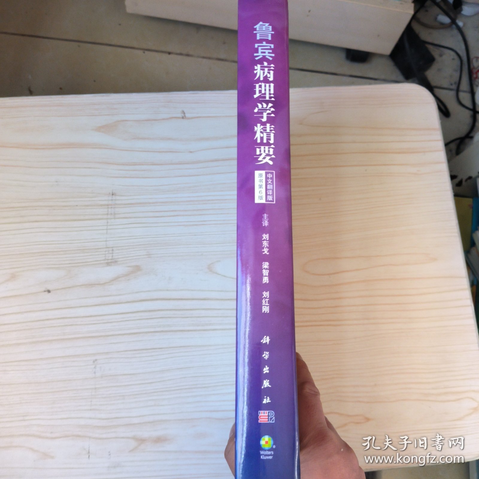 鲁宾病理学精要（中文翻译版 原书第6版）