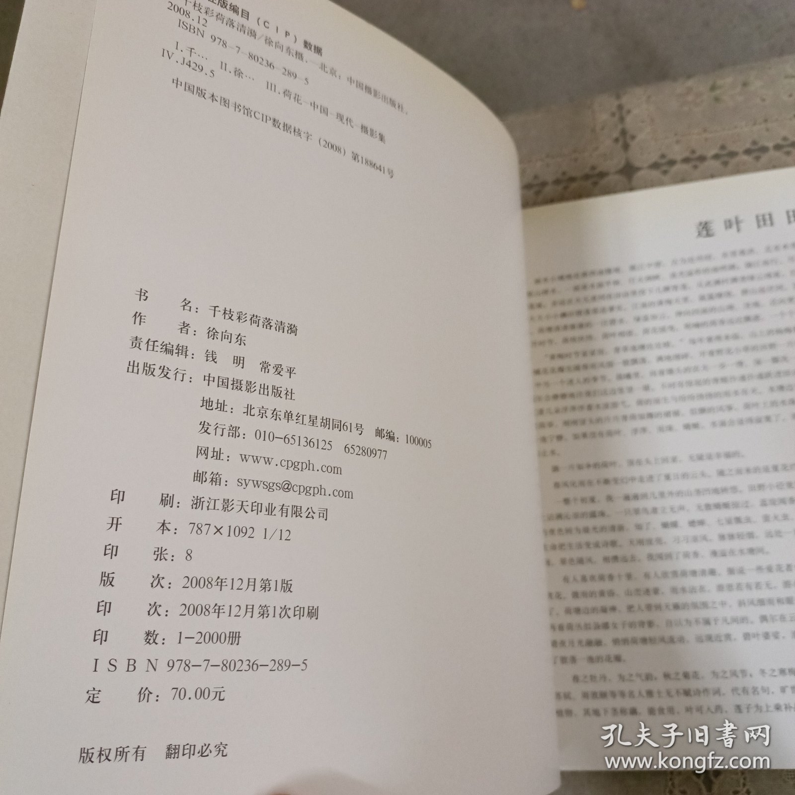 千枝彩荷落清漪