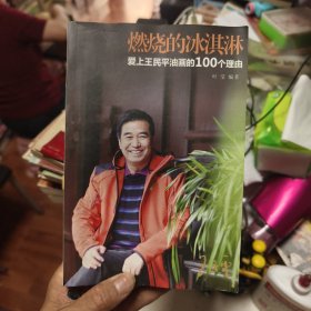 燃烧的冰淇淋-爱上王民平油画的100个理由44/6/14