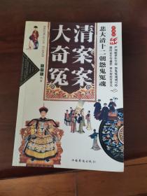 大清奇案冤案：悲大清十二朝怨魄哀魂（修订版）