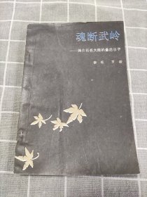 魂断五岭