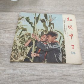 红领巾(1966.7)