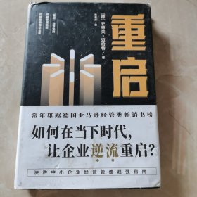 重启：如何在低迷的经济环境下，让经历挫折的企业逆流重启？