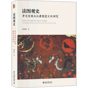 正版 读图观史 考古发现与汉唐视觉文化研究 贺西林 9787301329221