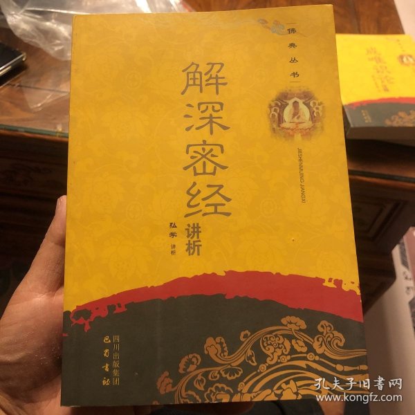 佛典丛书：解深密经讲析