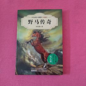 中外动物小说精品（升级版）：野马传奇