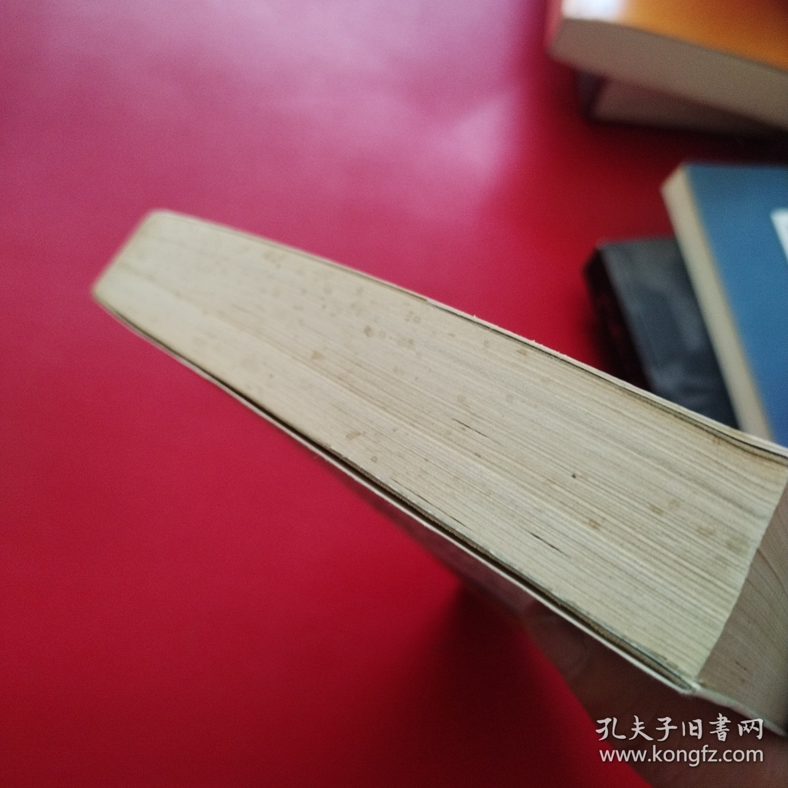 道界诸神 插图本（看图拍）