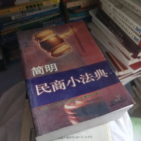 简明民商小法典/简明小法典系列丛书