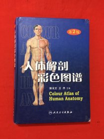 人体解剖彩色图谱