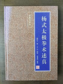 杨式太极拳术述真