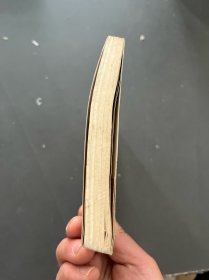 中国快车道:市场经济放眼录