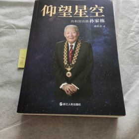 仰望星空 ：共和国功勋孙家栋（平装）