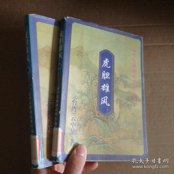 云中岳武侠作品集 虎胆雄风 中下