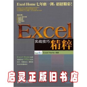 Excel实战技巧精粹