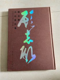 顾志新书法籇刻集