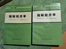 短缺经济学 上下