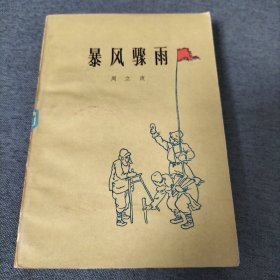 暴风骤雨（1980年）
