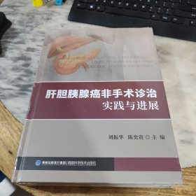 肝胆胰腺癌非手术诊治实践与进展