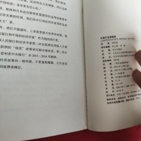 中国式金融魅影：地方债的危机与救赎