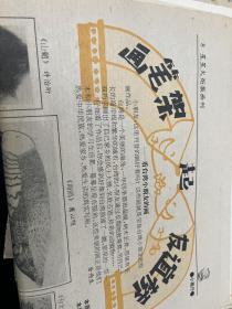 中国少年报  星星火炬  作文导报等一堆老报纸