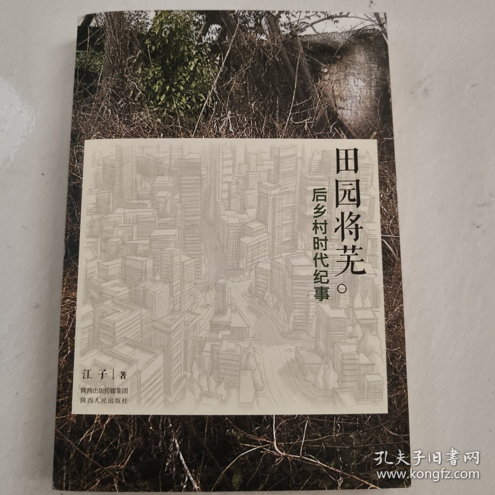 田园将芜：后乡村时代纪事