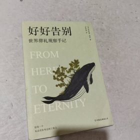 好好告别：世界葬礼观察手记