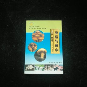 滑菇與黃傘生產(chǎn)全書(shū)