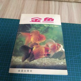 金鱼