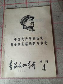 青海文化革命   增刊4