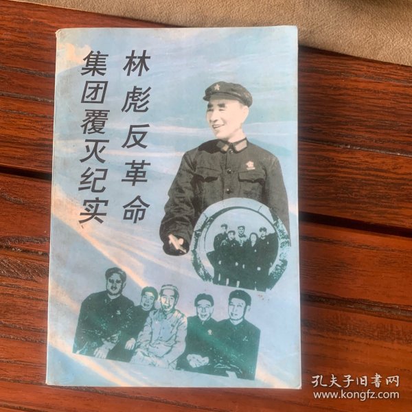 林彪反革命集团覆灭纪实