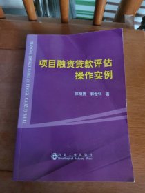 项目融资贷款评估操作实例