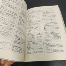 详解日语惯用语词典
