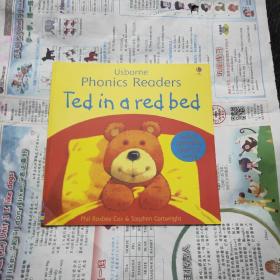 Ted in a Red Bed