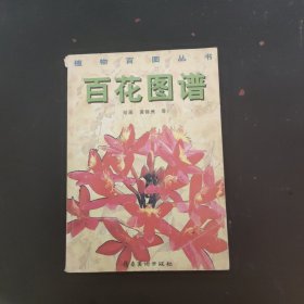 百花图谱