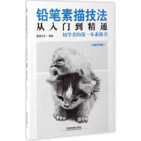 铅笔素描技法从入门到精通 美术技法 漫果 编 新华正版