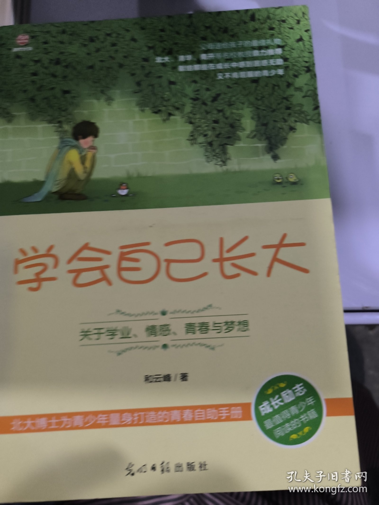 学会自己长大：关于学业、情感、青春与梦想