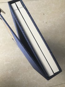 嵊县族史通览卷一《金庭王氏》上下册（全新）