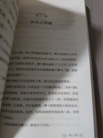 长青藤:一只猫的使命