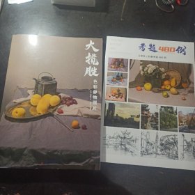 大揽胜色彩静物照片2023鲲蓝文化陈建超水果蔬菜花卉杂物基础教学