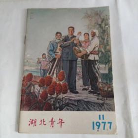 湖北青年杂志1977年第11期