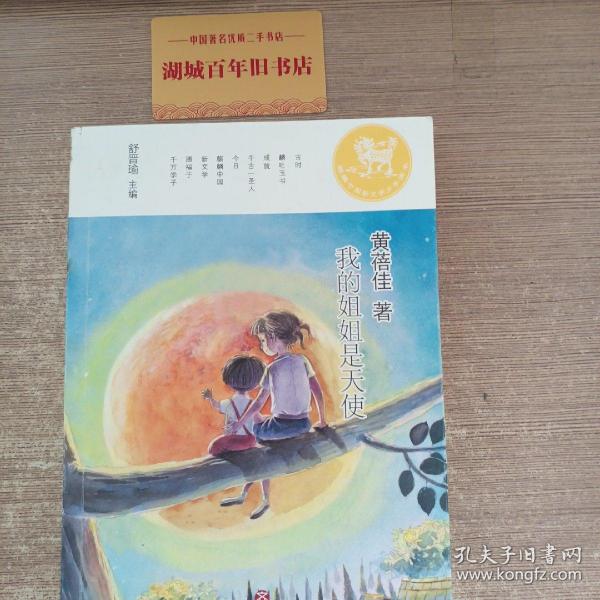 麒麟中国新文学少年读本·我的姐姐是天使