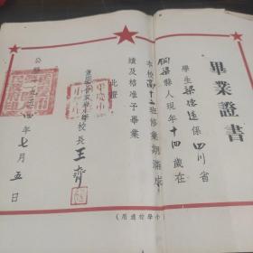 1954年小学毕业证书